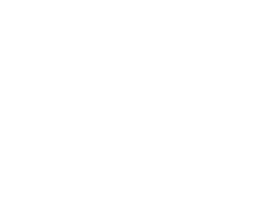 Tesa logo